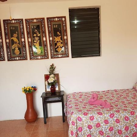 Bachelor Inn Hotel Belize City Luaran gambar